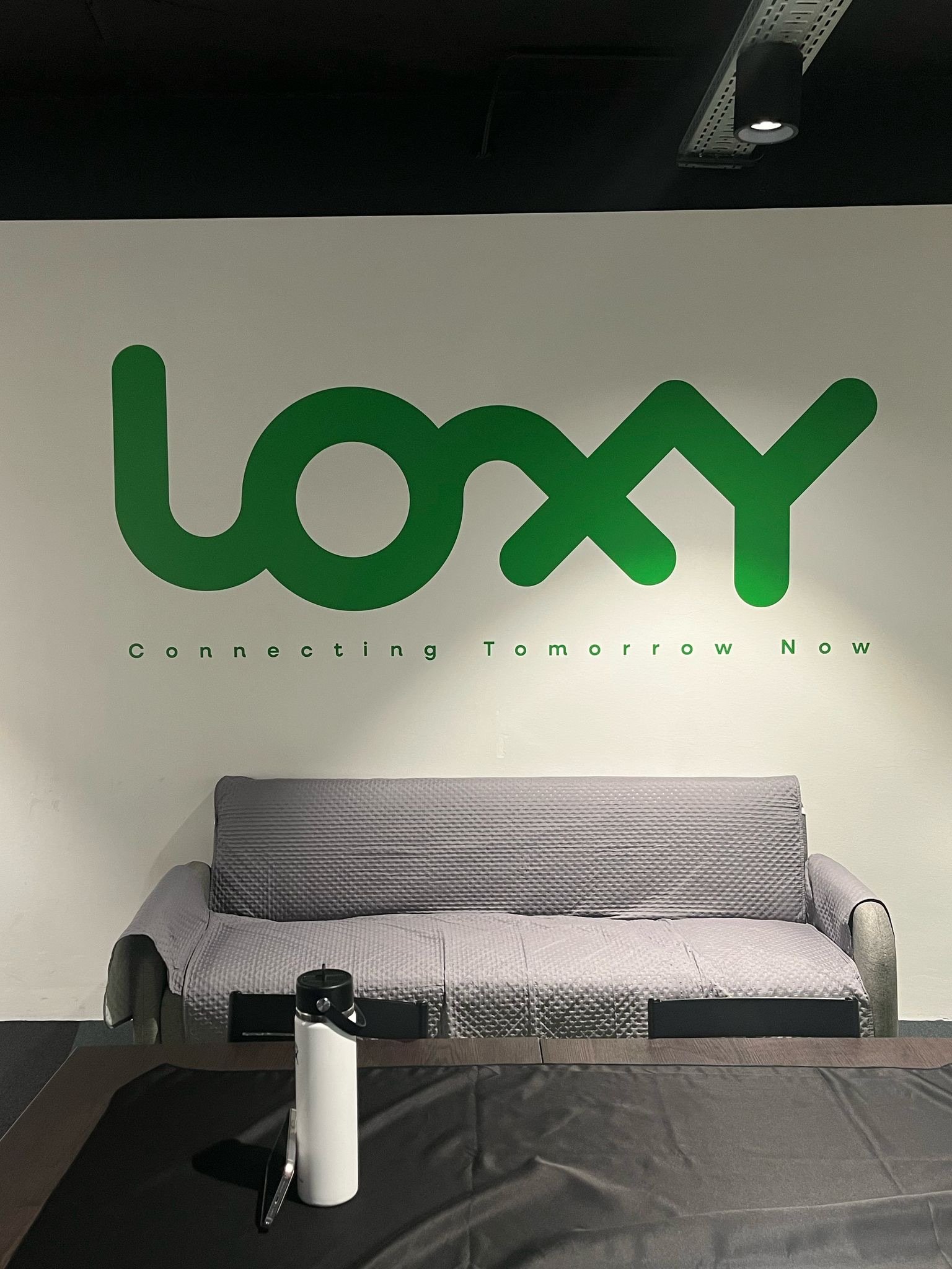 LOXY - vinil recorte logo interior LOXY - vinil recorte logo interior