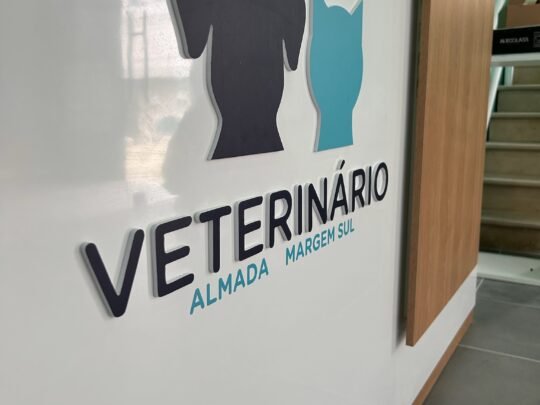 os ninjas - logotipo 3d